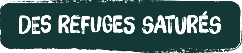 Des refuges saturés