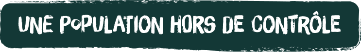 Une population hors de contrôle